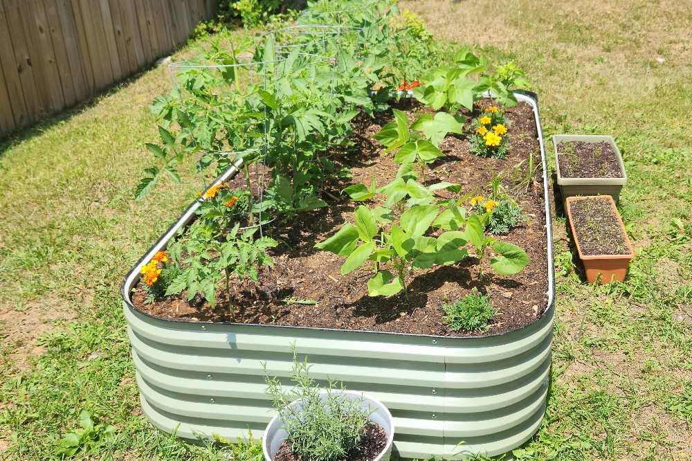 4x8 Raised Garden Bed Layout Planting Ideas | VEGEGA