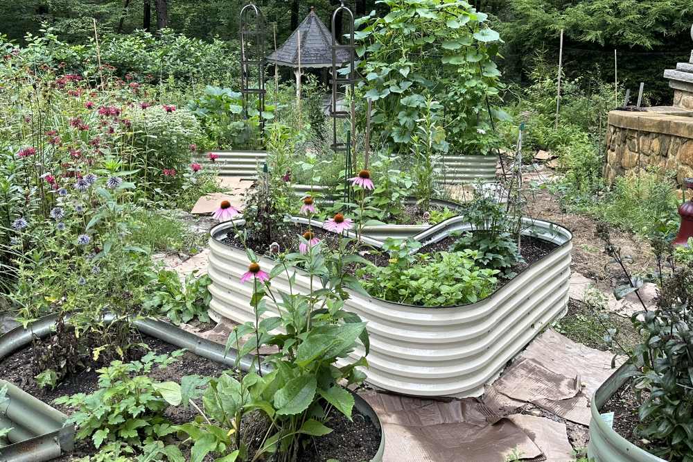 Does the Color of Metal Raised Garden Beds Improve Crop Yields | VEGEGA