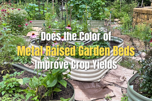 Does the Color of Metal Raised Garden Beds Improve Crop Yields | VEGEGA