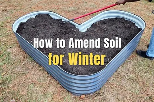 How to Amend Soil for Winter | VEGEGA