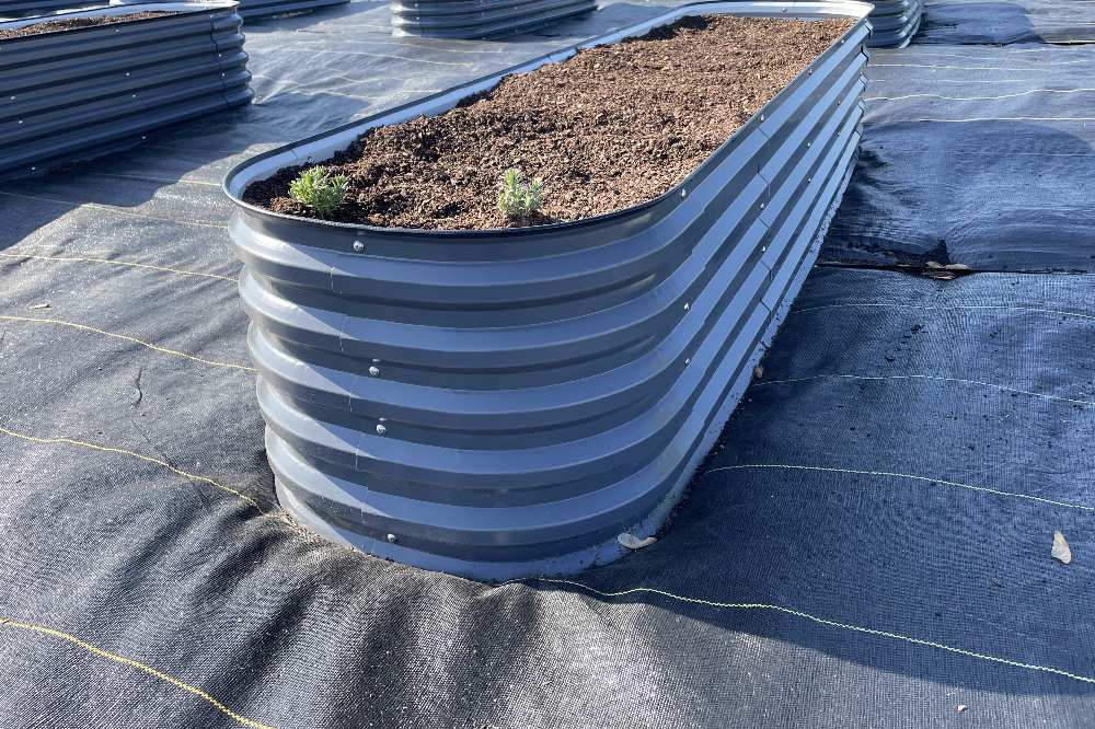 Should I Line My Raised Garden Bed with Plastic Liner | VEGEGA