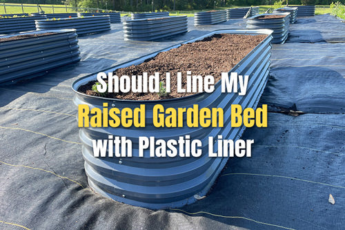 Should I Line My Raised Garden Bed with Plastic Liner | VEGEGA