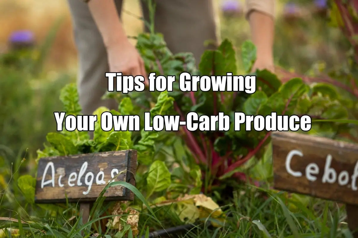 Tips for Growing Your Own Low-Carb Produce - VEGEGA Metal Raised Garden Bed