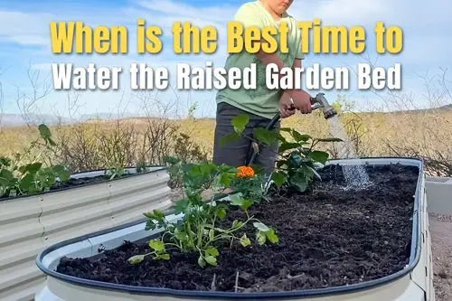 When Is the Best Time of Day to Water the Raised Garden Bed | VEGEGA