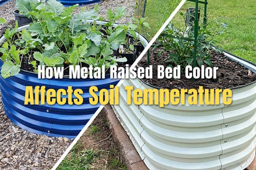 How Metal Raised Bed Color Affects Soil Temperature | VEGEGA