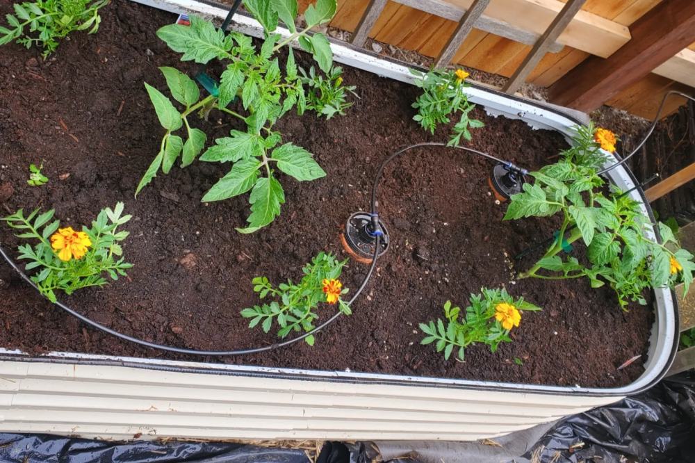 How Often Should You Water a Raised Garden Bed | VEGEGA