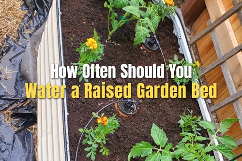 How Often Should You Water a Raised Garden Bed | VEGEGA