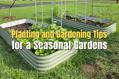 Planting and Gardening Tips for a Seasonal Garden | VEGEGA