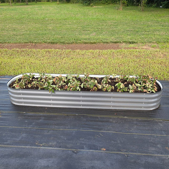 corrugated metal raised beds growing strawberry-Vegega