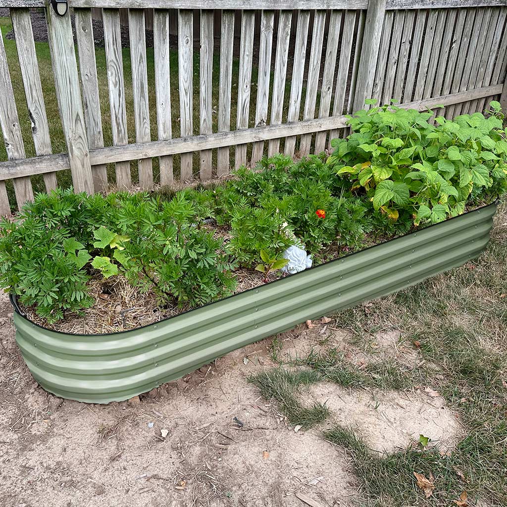 corrugated metal beds plants herbs-Vegega