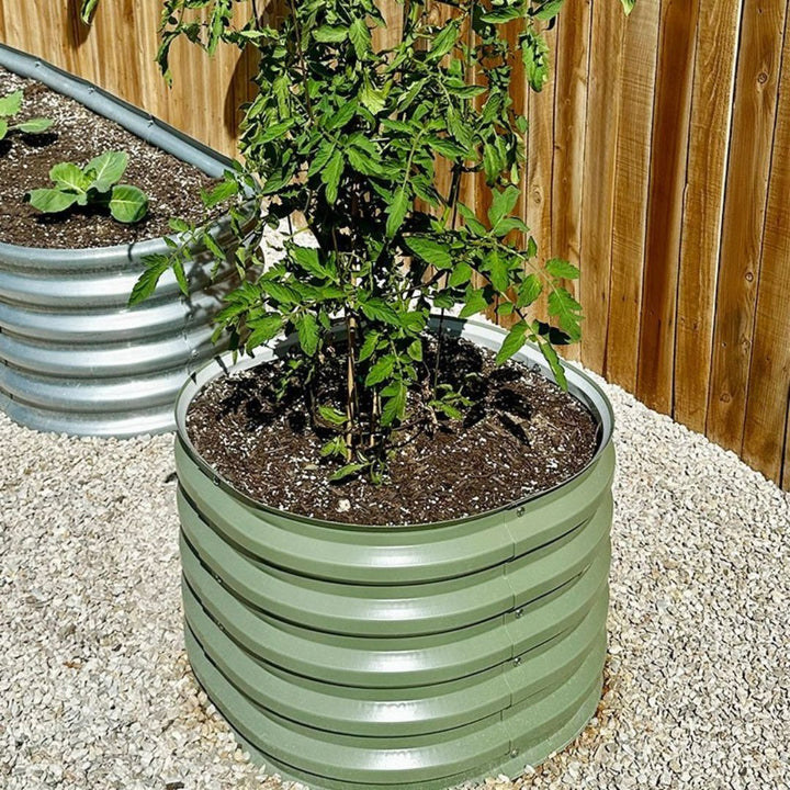 round metal raised garden bed grows tomatoes