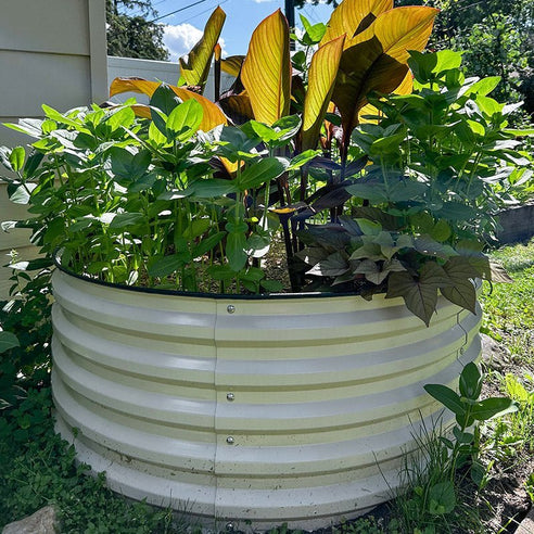 growing basil in a round raised garden bed-Vegega