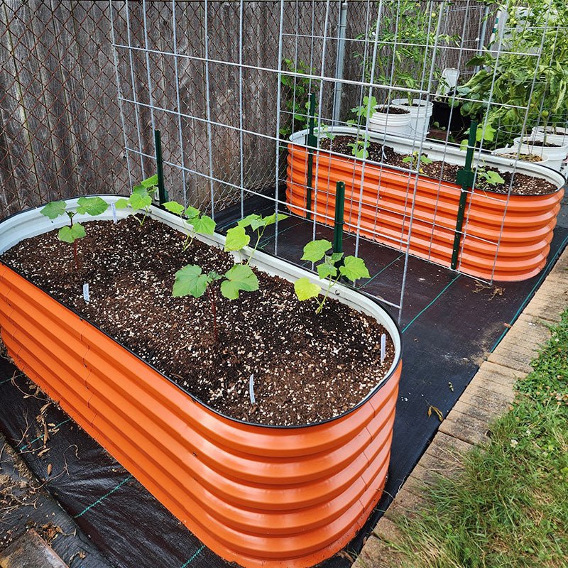 orange garden boxes growing plants-Vegega