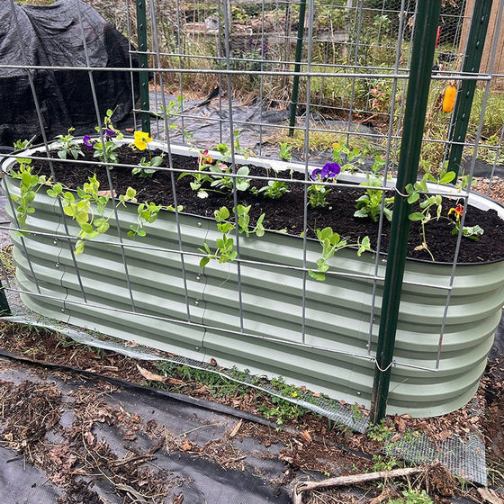 5x2 garden box-Vegega