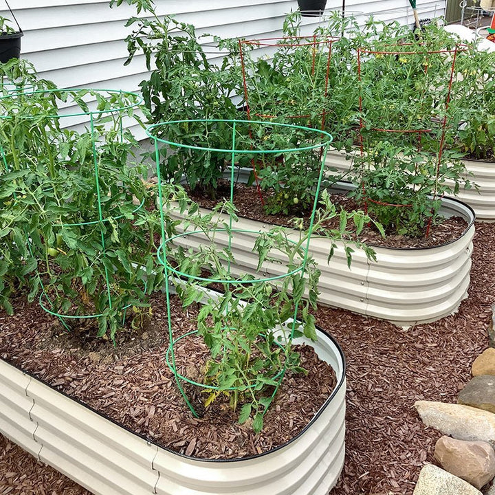 outdoor herb planter boxes growing tomatoes-Vegega