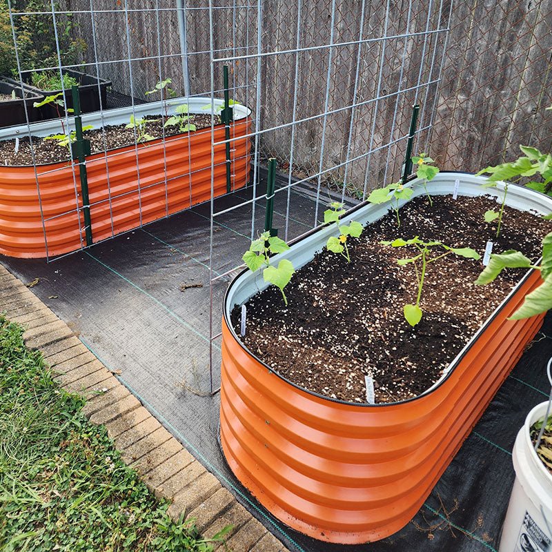 garden box orange-Vegega