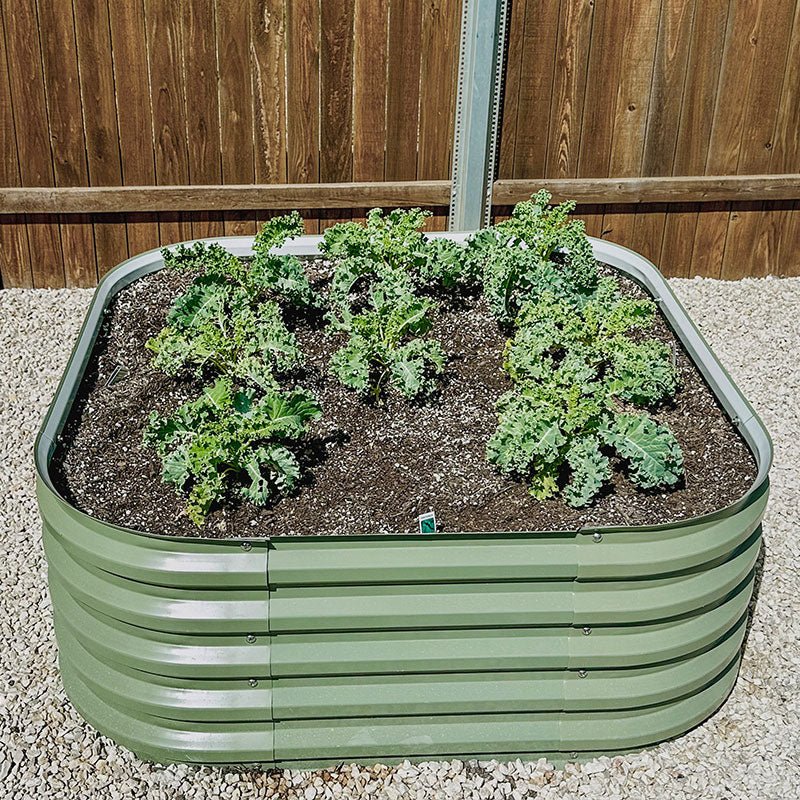 herb planter box grows kale