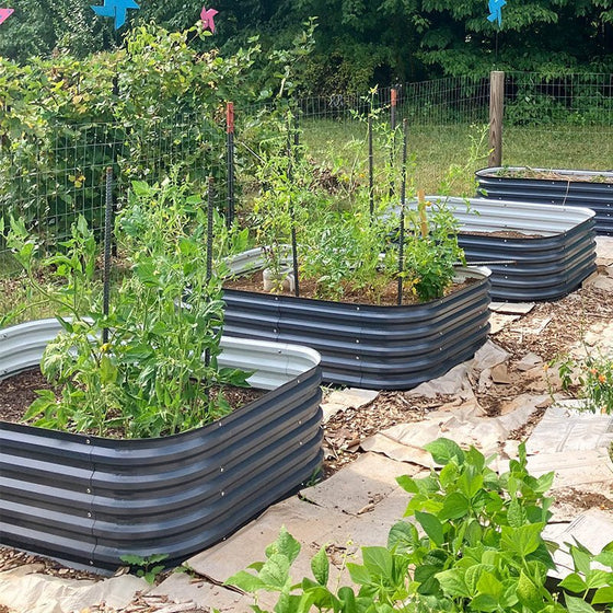 metal garden box raised-Vegega