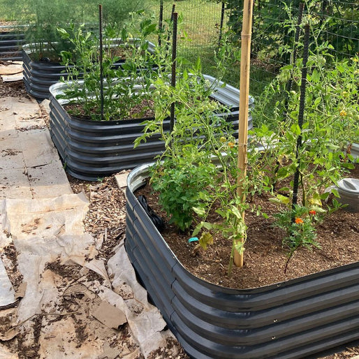 raised garden box metal-Vegega