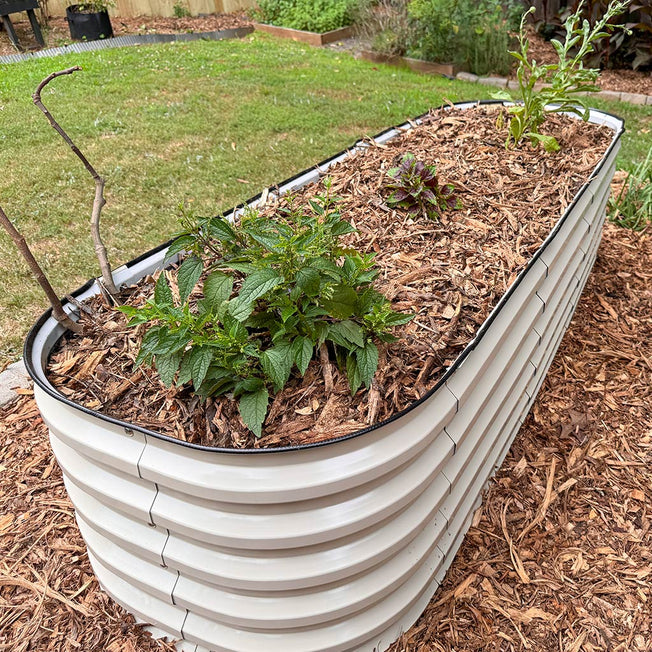 white modern raised beds-Vegega