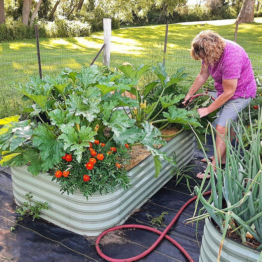 planter boxes-Vegega