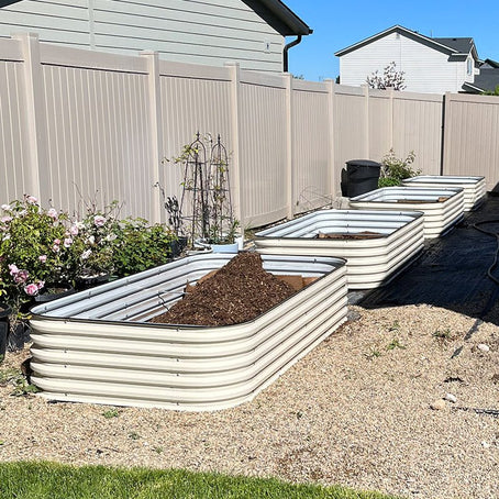 raised bed garden-Vegega