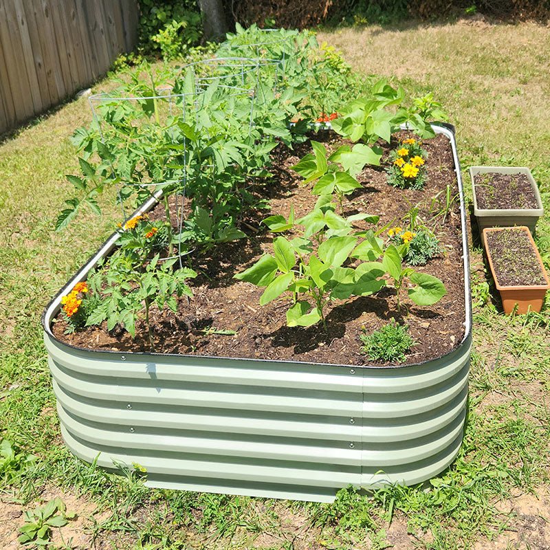 4x8 raised garden bed grows tomatoes-Vegega