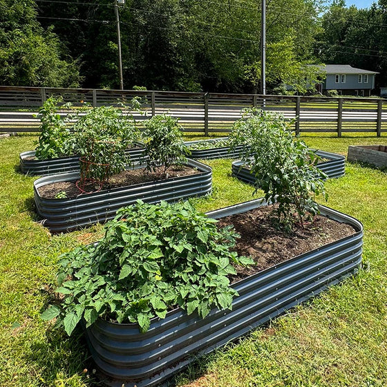 4x8 raised garden bed layout-Vegega