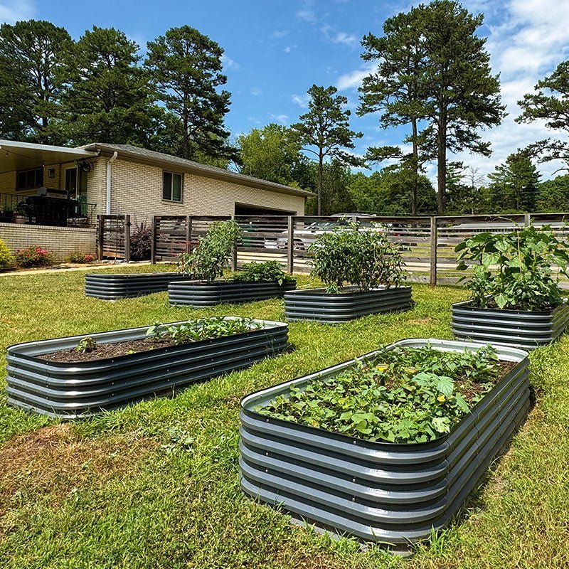 grey 8x4 raised garden beds in garden growing veggies-Vegega