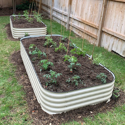 4x8 raised garden beds growing veggies-Vegega