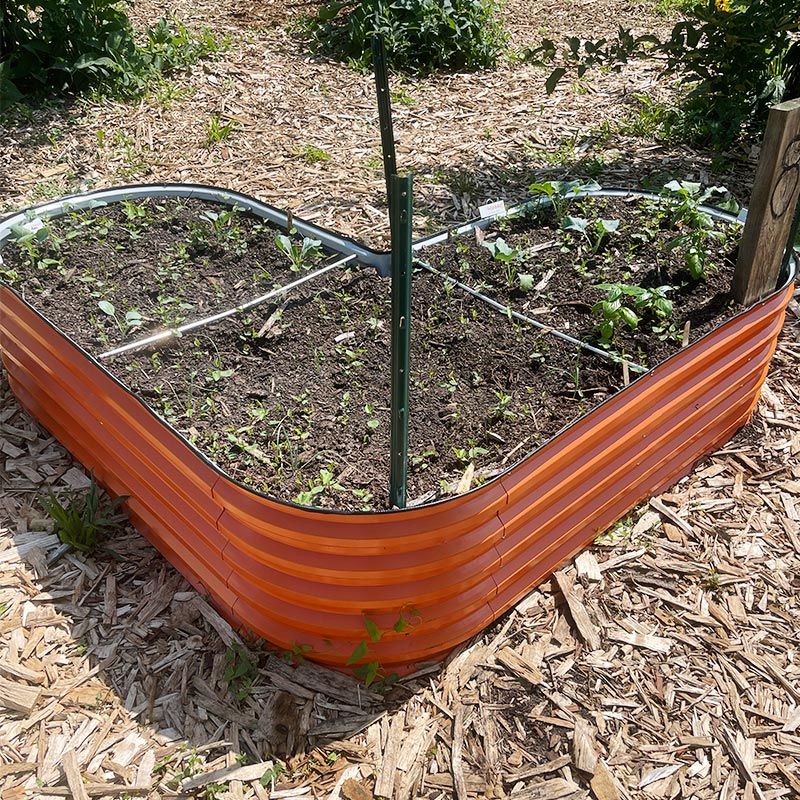 Heart-Shaped Galvanized Planters-Vegega