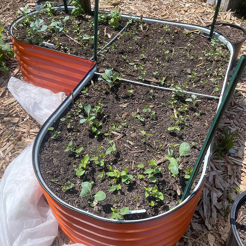 metal raised bed heart shaped-Vegega