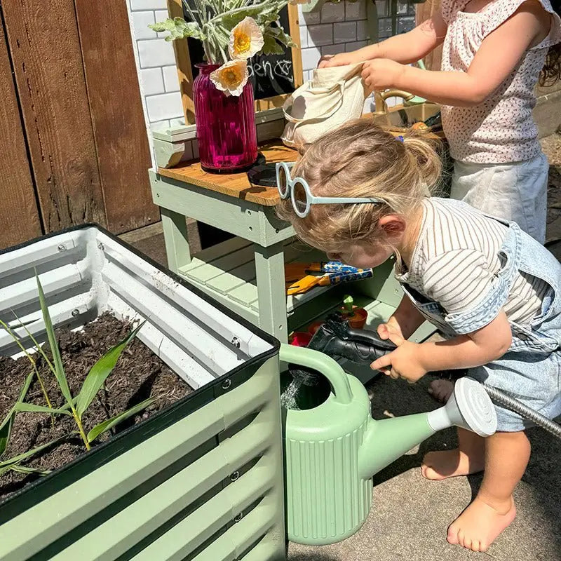 corner of rectangle 2x8 raised bed-Vegega