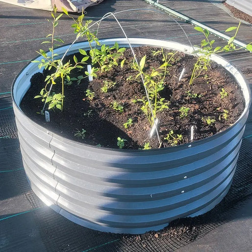 grey circle raised garden beds-Vegega