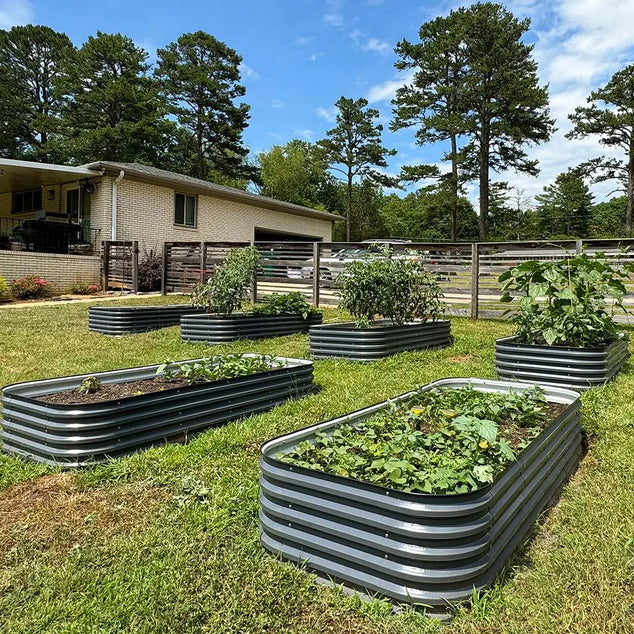 grey 8x4 raised garden beds in garden growing veggies-Vegega