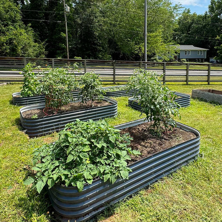 4x8 raised garden bed layout-Vegega