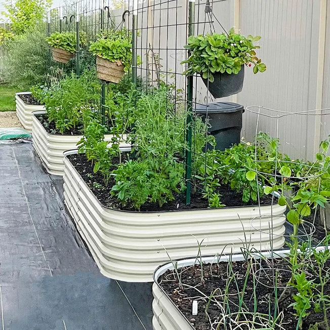 Raised Bed Garden using 4x8 raised garden beds-Vegega