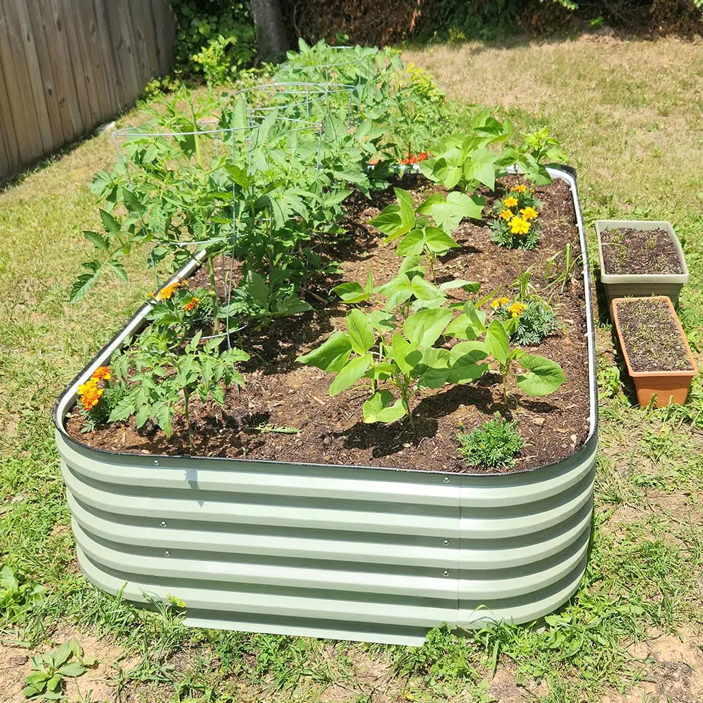 4x8 raised garden bed grows tomatoes-Vegega