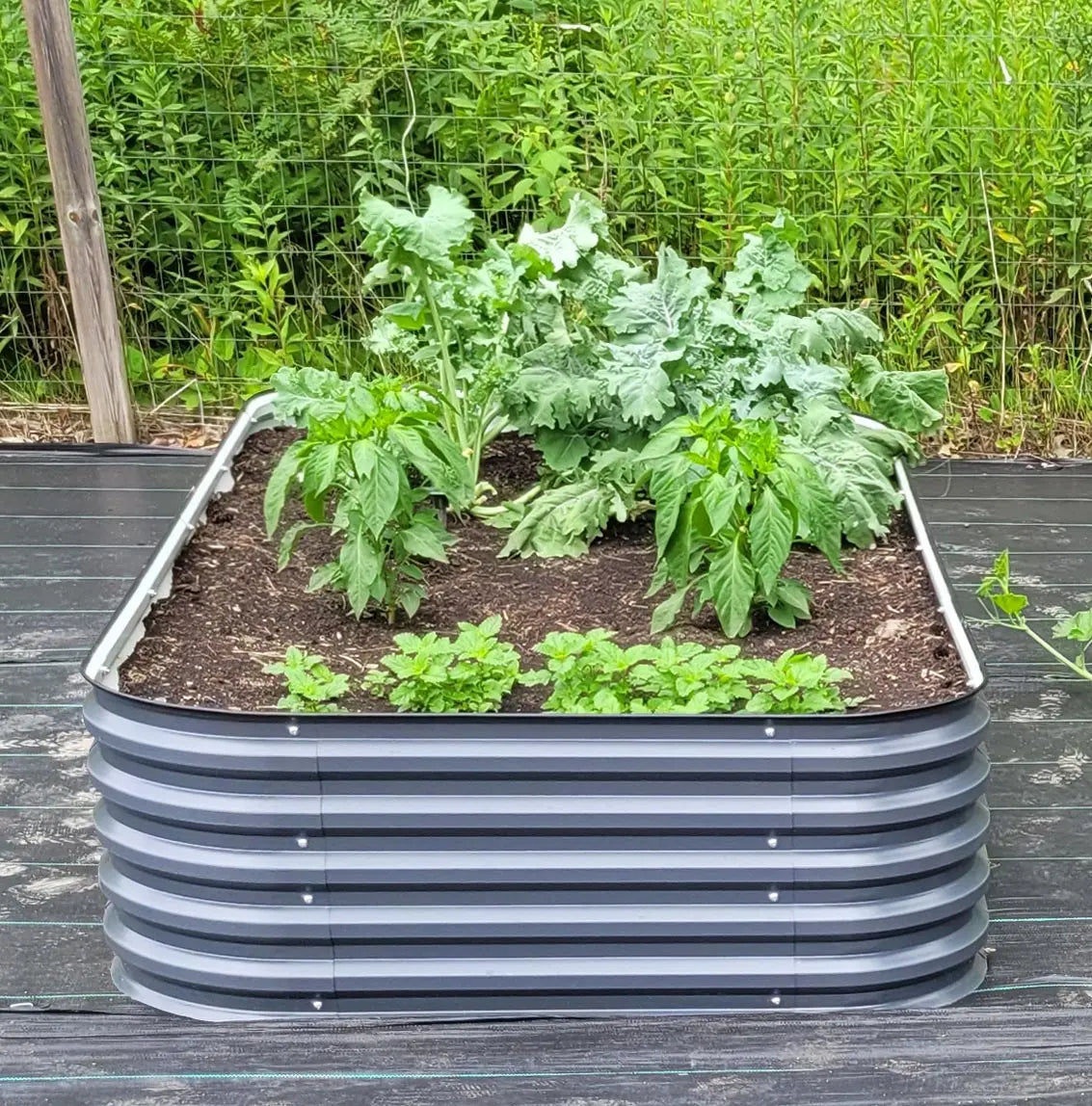 raised garden bed ideas-Vegega