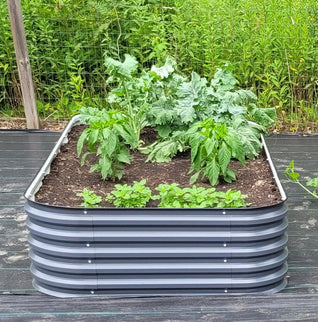 raised garden bed ideas-Vegega