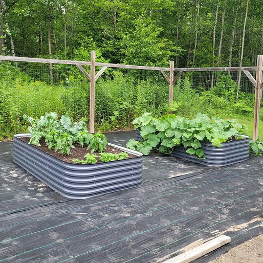 4x8 raised garden bed-Vegega