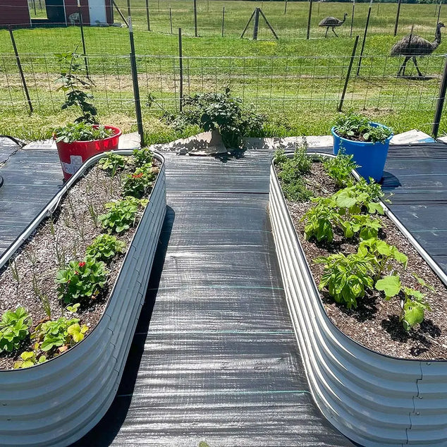 two white modern metal garden beds growing plants-Vegega