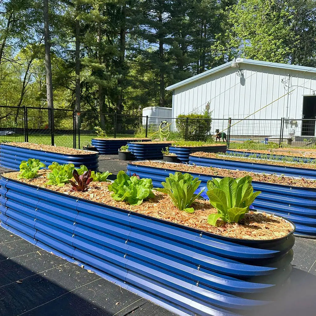 raised planter boxes blue growing plants-Vegega