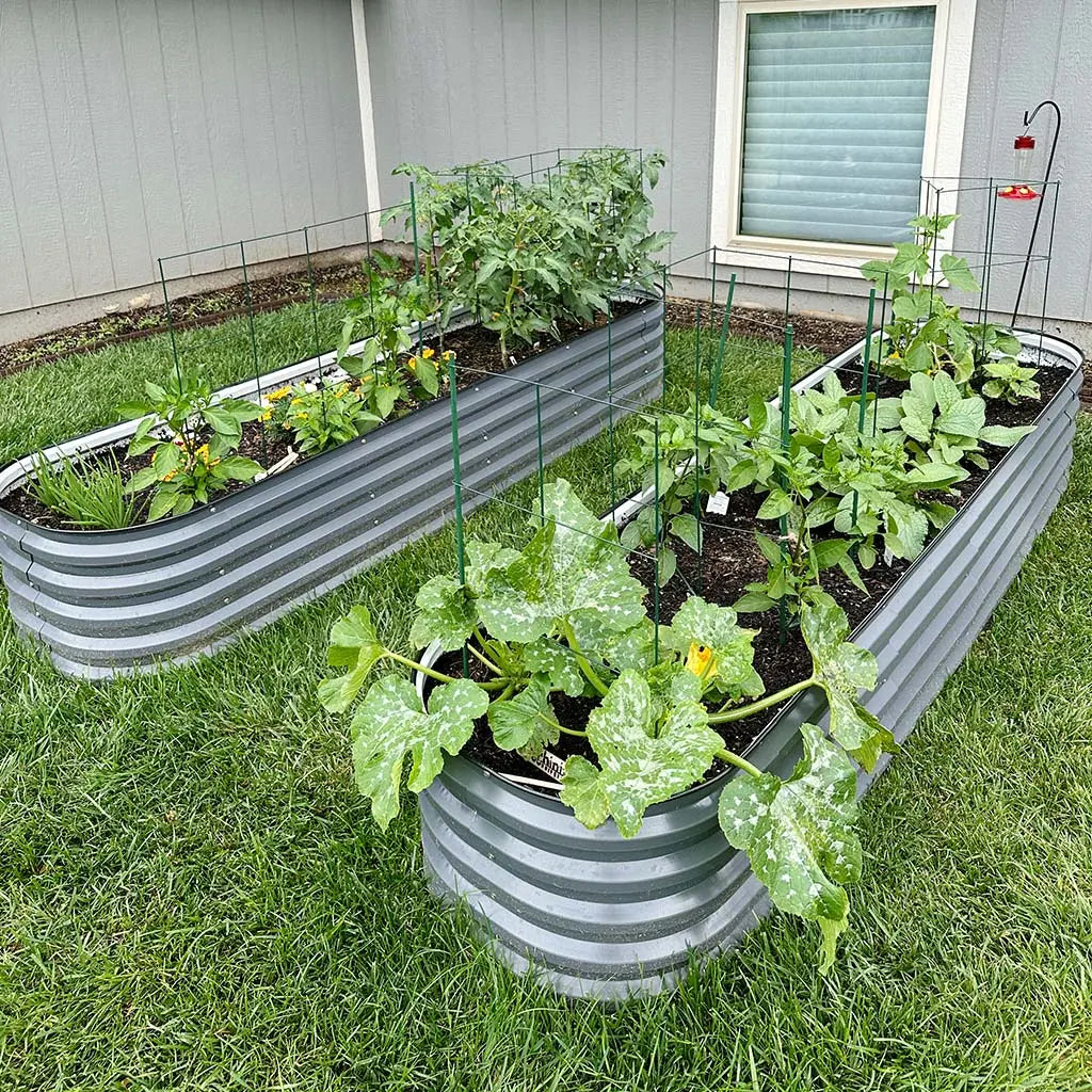 steel planter boxes growing plants-Vegega