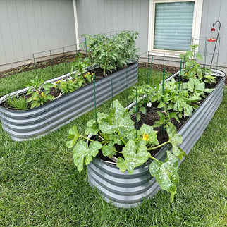 steel planter boxes growing plants-Vegega