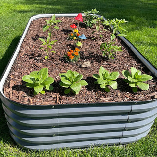 growing vegetables in metal planter box-Vegega