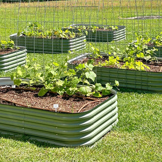 raised metal planter boxes growing squashes-Vegega