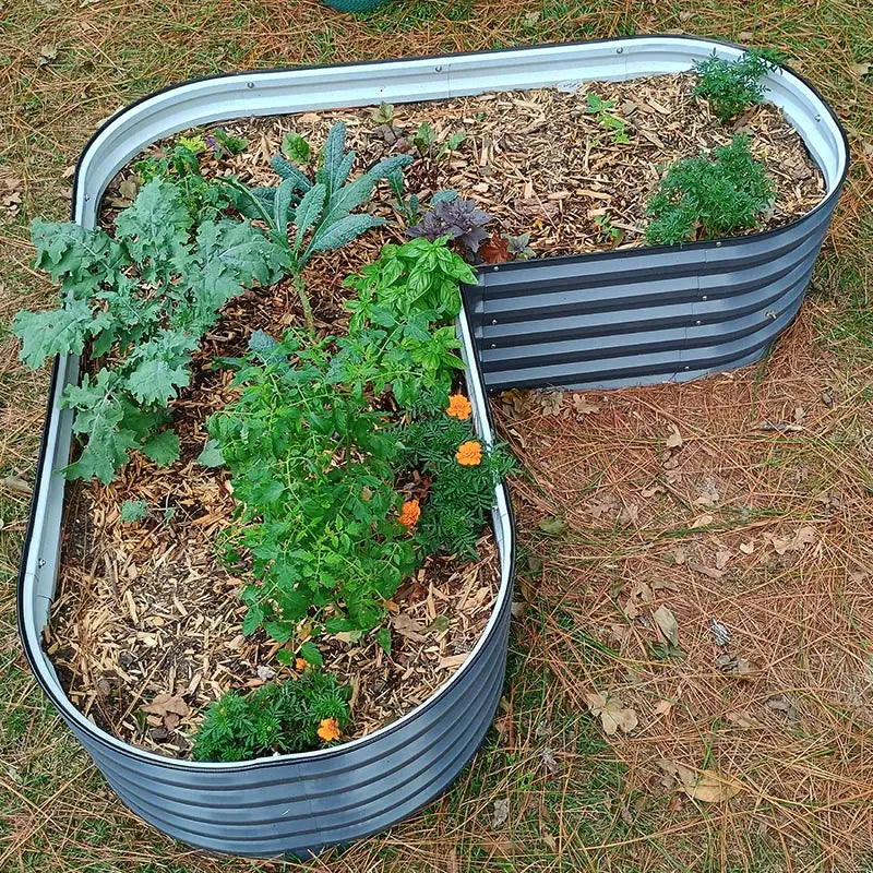 heart shaped garden bed growing veggies-Vegega