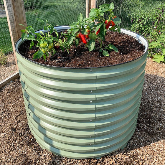 round garden bed growing peppers