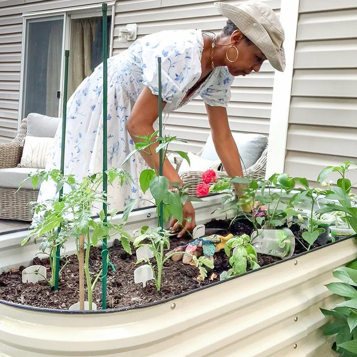 a woman grow plants in a white galvanized flower bed-Vegega